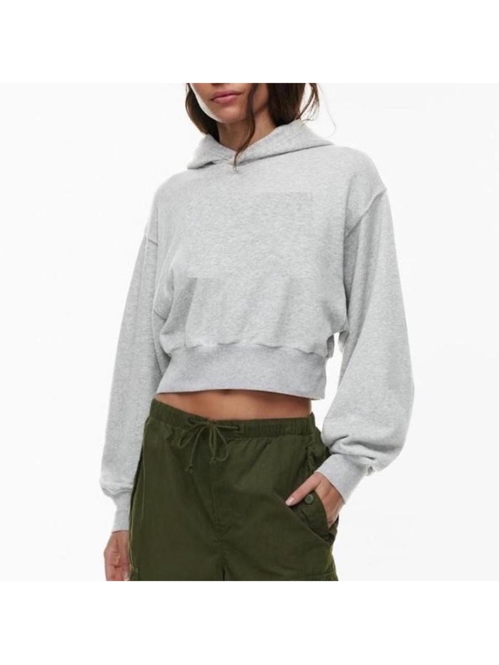 Aritzia Cropped Lightweight Hooded Sweatshirt - Gray